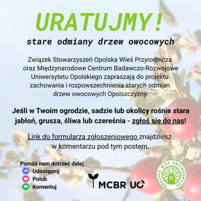 Uratujmy stare odmiany drzew owocowych!